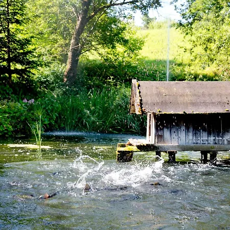 Der Schlossberghof Marzoll - Landidyll & Naturgarten - Vital-sportlich-gesund- 巴特莱辛哈尔